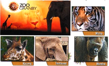 zoo